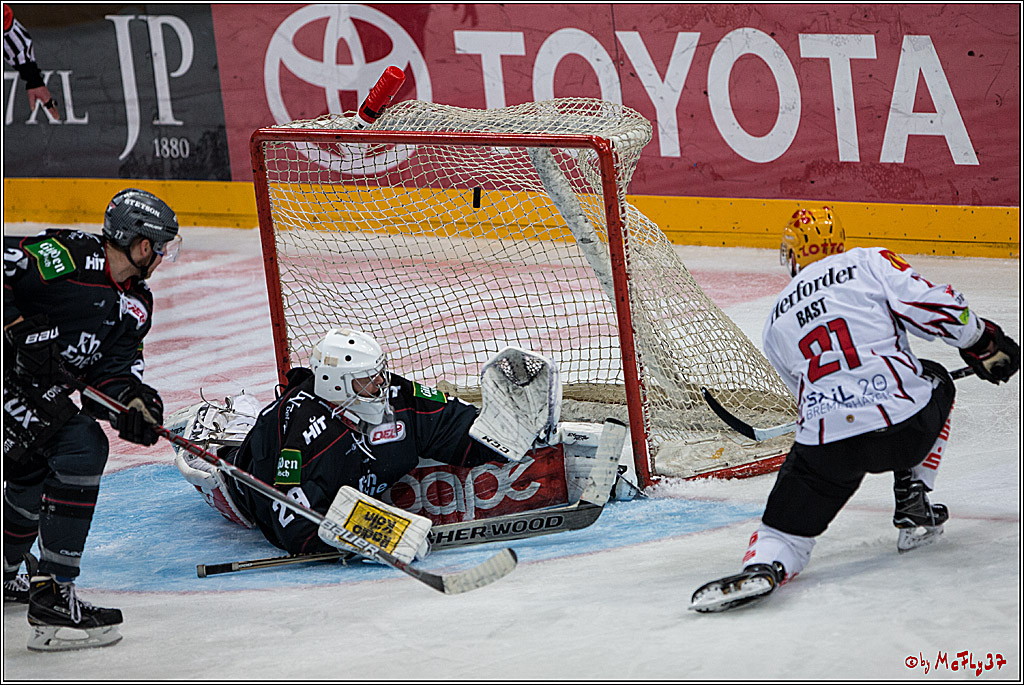 DEL, Koelner Haie - Fishtown Pinguins Bremerhaven, 29.01.2017